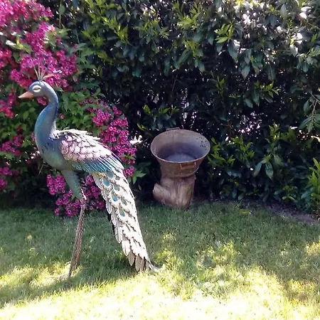 Le Clos Pré Couette-café