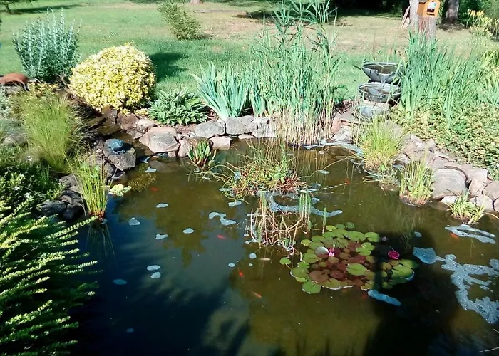 לינה וארוחת בוקר Le Clos Pre